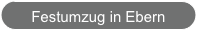 Festumzug in Ebern